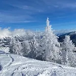 Chalet Reiteralm- With Schladming-Dachstein Summer Card Appartement