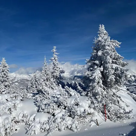 Reiteralm- In Out Schladming