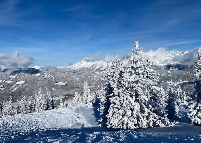 Reiteralm- In Out * שלאדמינג