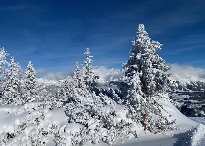 Reiteralm- In Out שלאדמינג